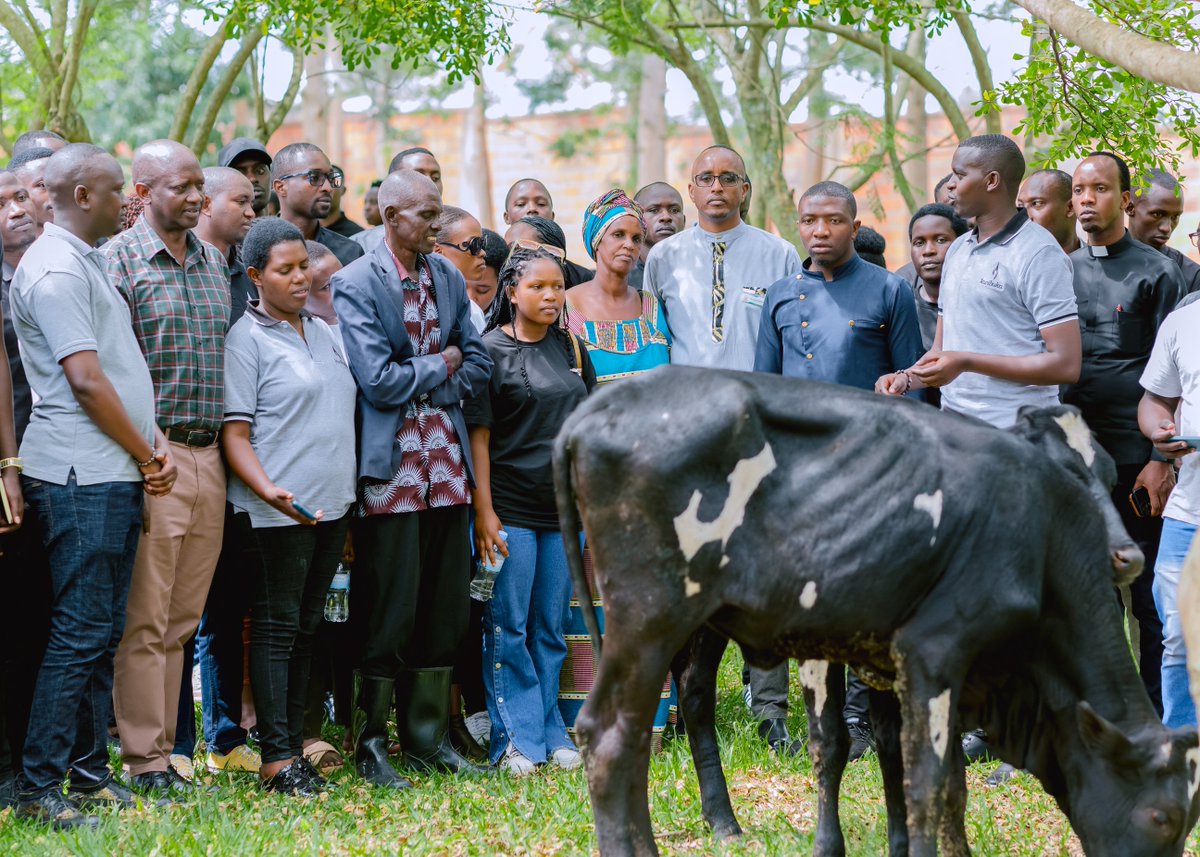 Urubyiruko rwasobanuriwe amateka ya Jenoside yakorewe Abatutsi mu 1994 by'umwihariko mu Karere ka @BugeseraDistr, ndetse baremera inka 2, ababyeyi 2 barokotse muri aka Karere.