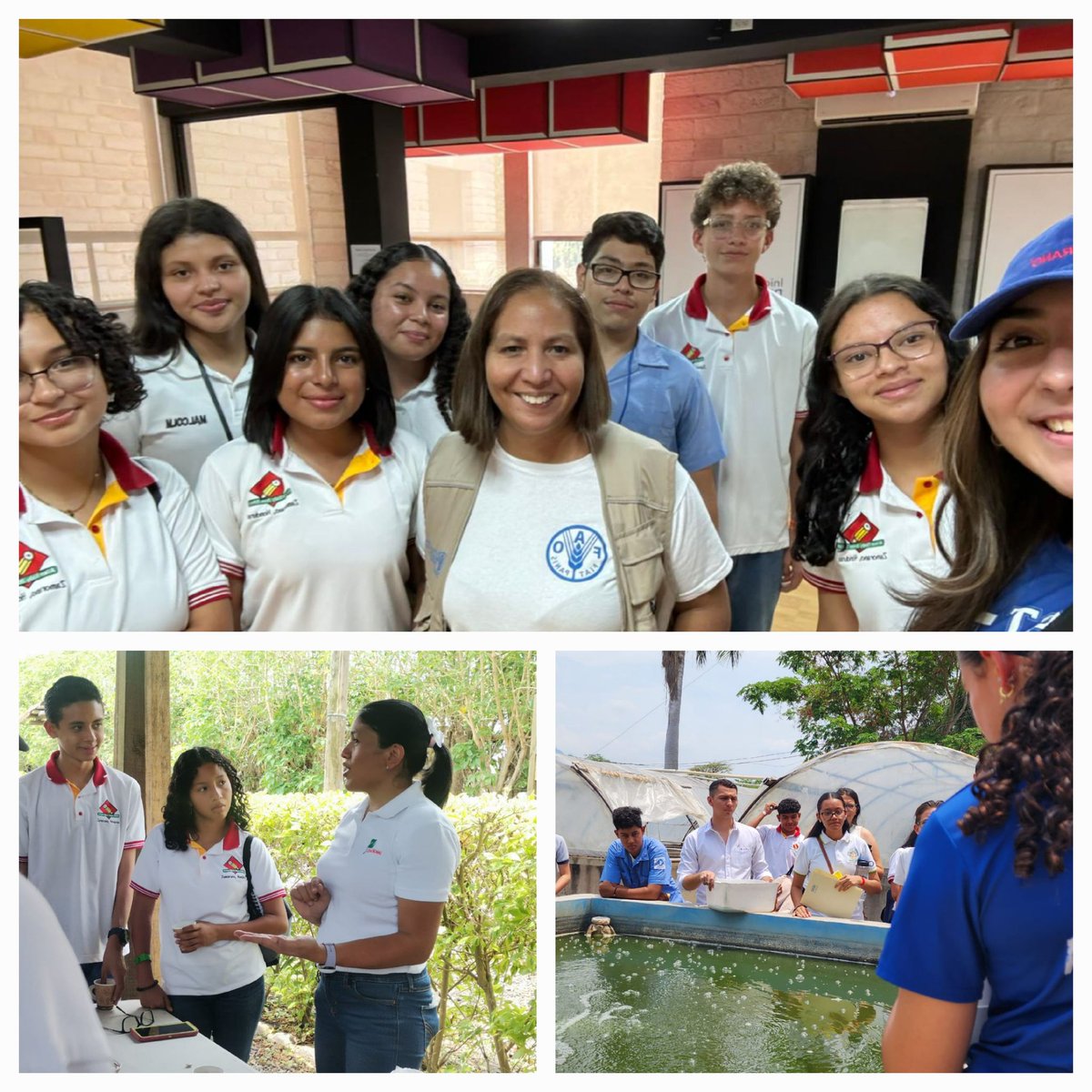 Que bonita 💚 la experiencia con los jóvenes que presentaron sus casos y soluciones contra el hambre en la versión de Honduras del @WorldFoodPrize organizado por la @ABSSzamorano1 Gracias por su invitación a @FAOHonduras y @ONUHonduras