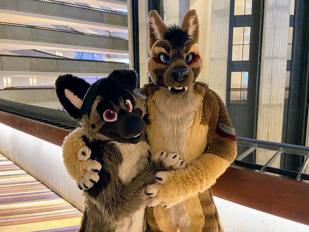 Am little and smol. Him big and tol. 🥰😍 📷: @/NovaWolfy #FursuitFriday