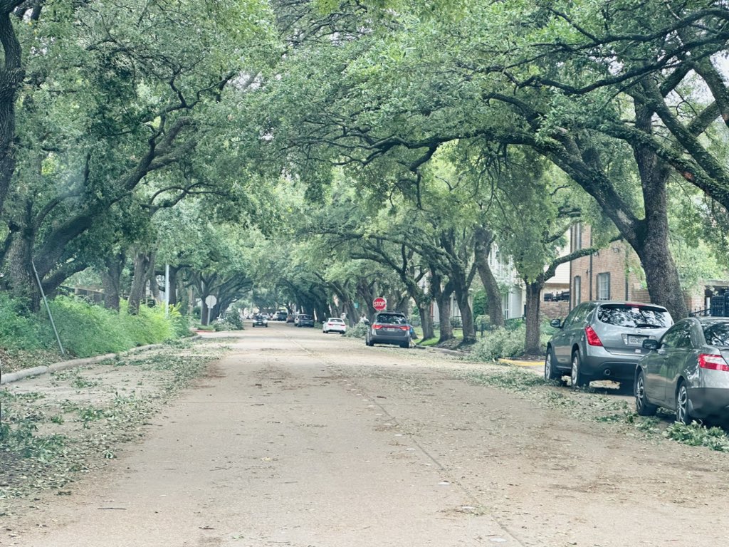 PepperGii's tweet image. Neighbors cleared the streets so we can drive. #Houston #SpringBranch