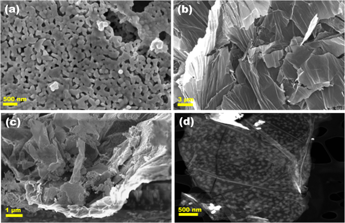 Enhanced photocatalytic performance of a rGO-Ca2Fe2O5 nanocomposite for photodegradation of emergent pollutants nature.com/articles/s4154…