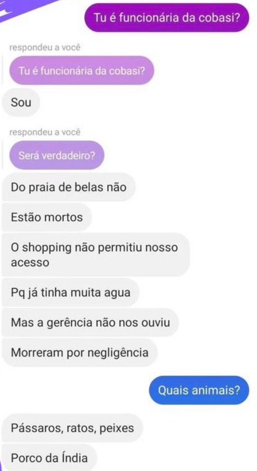 jumastudy's tweet image. Só pra lembrar que a @cobasi é tão assassina quanto a Bicharada. Felizmente já está denunciada no MPRS. 

Todo o processo e as conversas foram divulgadas pelo Rodrigo Maroni.