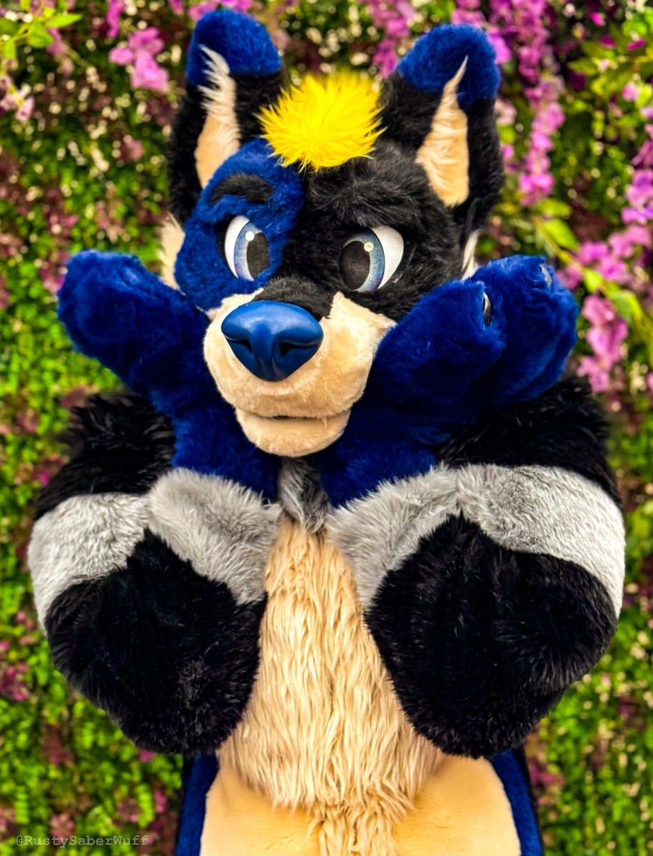Just a cute puppy playing in the garden! He wanted to smell the flowers. 💙 #FursuitFriday #FWA2024 📸: @RustySaberWuff 🪡: @WaggeryCos