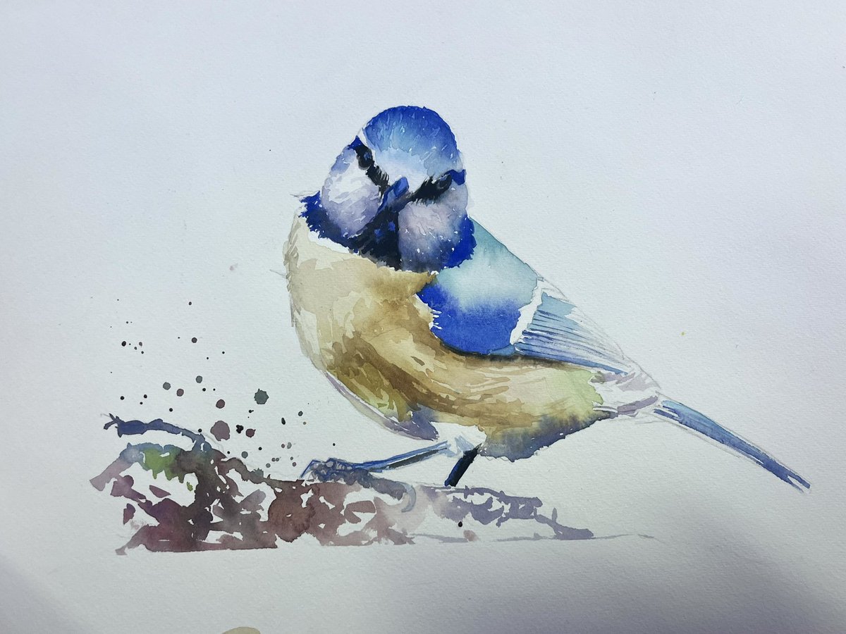 My favourite artist Sarah Stokes 🥰 Absolutely love her animal watercolours🦁🐆🎨🖌️And was privileged to watch her create a cute blue tit🐦‍⬛🩵💙She gives me great inspiration for what I’d like to achieve🫶🏼🤩🙌🏼✨ #craftynat83 #sarahstokesartist #watercolour #iwm2024 #inspiration