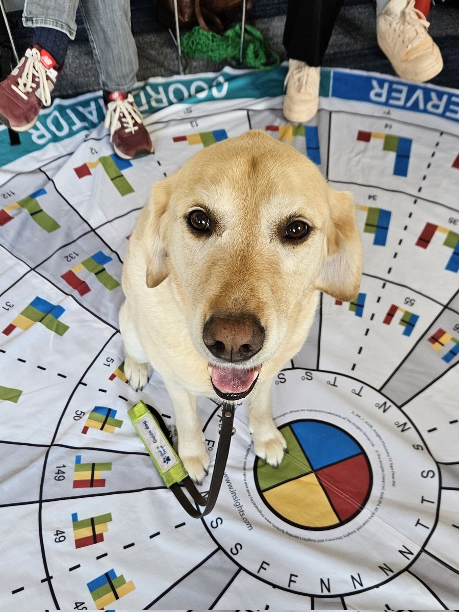 Zoe Egerickx (@zoeegerickx) on Twitter photo This was a first for me today - a team development session with Jaff the sight dog. He was extremely well behaved and a lovely addition. Nice to meet you Jaff <a href="/NorthBristolNHS/">North Bristol NHS Trust</a> <a href="/sphams/">Steve Hams</a> #InsightsDiscovery #teamdevelopment #safeguarding This was a first for me today - a team development session with Jaff the sight dog. He was extremely well behaved and a lovely addition. Nice to meet you Jaff <a href="/NorthBristolNHS/">North Bristol NHS Trust</a> <a href="/sphams/">Steve Hams</a> #InsightsDiscovery #teamdevelopment #safeguarding