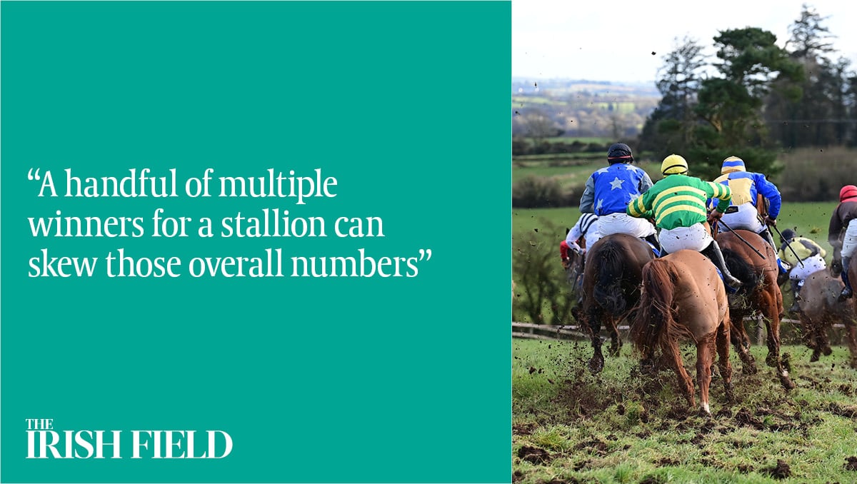 In The Irish Field this weekend, Eogháin Ward takes a look at which store horse stallions are in demand and who is likely be champion point-to-point sire this season