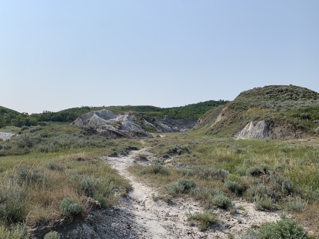 Ever explored the badlands near Avonlea? 👀 Join us June 19 and 20 for the “Discovering the Badlands: Paleo, Pollinators and Plants” tour during Native Prairie Appreciation Week. Hope to see you there! Register before June 10: eventbrite.com/e/2024-native-… #SaskAg