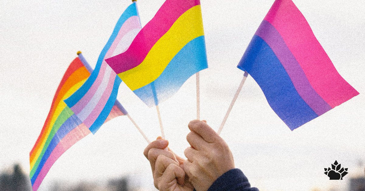 Looking for ways to combat the rise of anti-2SLGBTQQIA+ hate? Visit @egalecanada’s Rainbow Action Hub for tools and resources. #IDAHOBIT bit.ly/4drIEpV