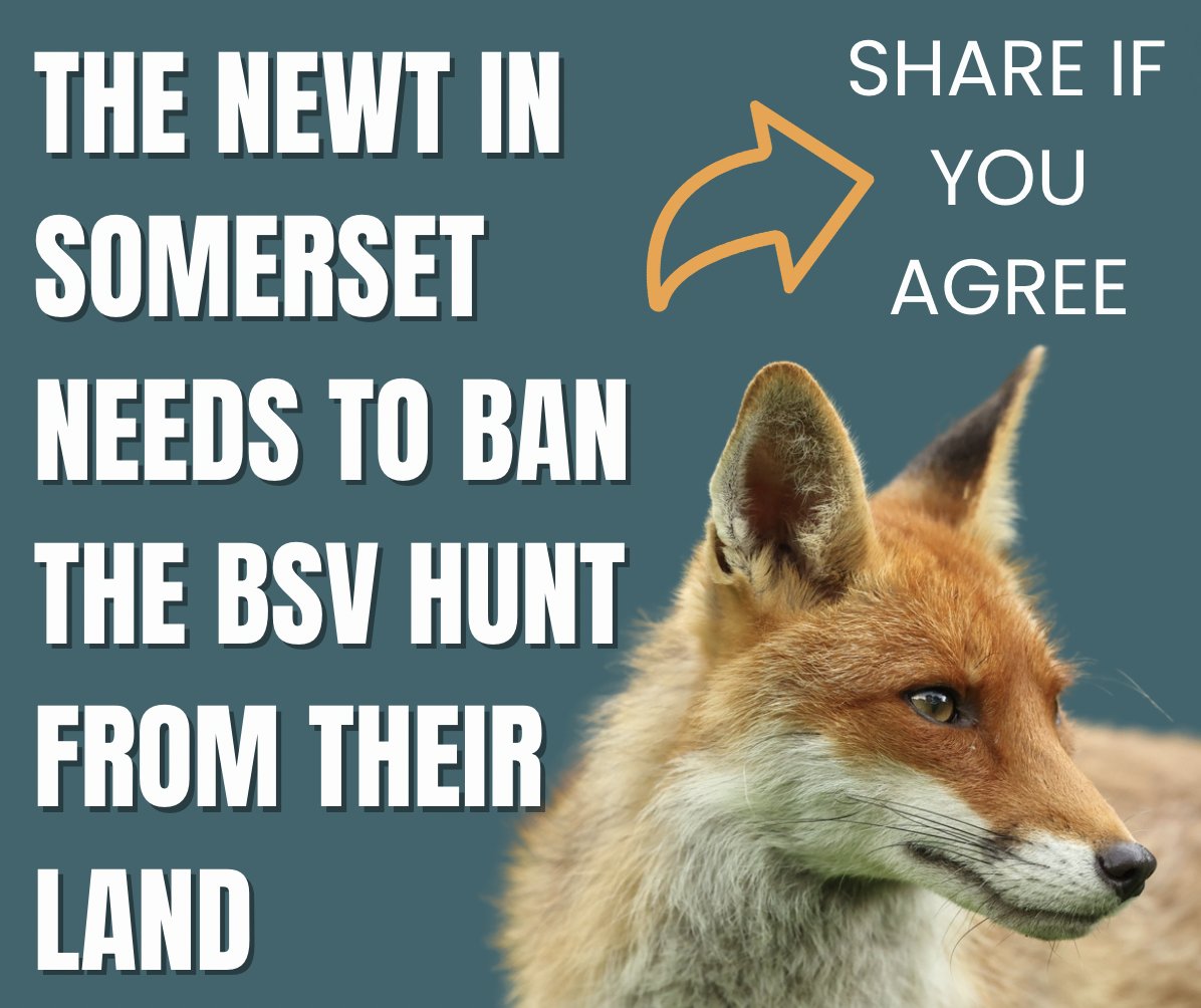 RT if you agree! @thenewtsomerset has so far ignored a whopping 11,000 emails asking that they ban the violent, fox killing BSV Hunt from their land. The BSV are arguably one of the worst fox hunts in the entire country.