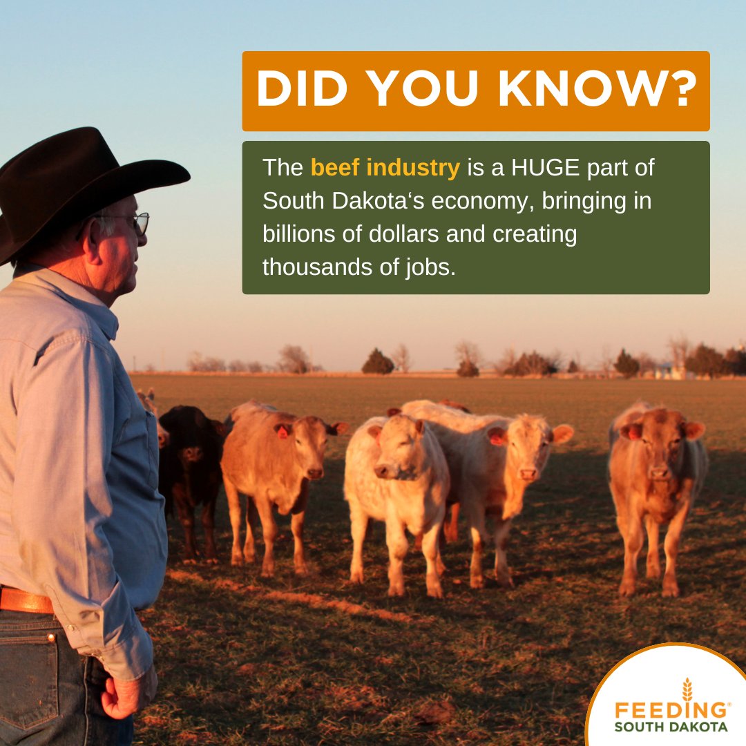 #FoodFactFriday 🐮

Did you know? The beef industry generates billions annually and supports thousands of jobs across the state. Celebrate #NationalBeefMonth by appreciating our local beef producers or donate to Feeding SD to provide beef to those facing hunger!