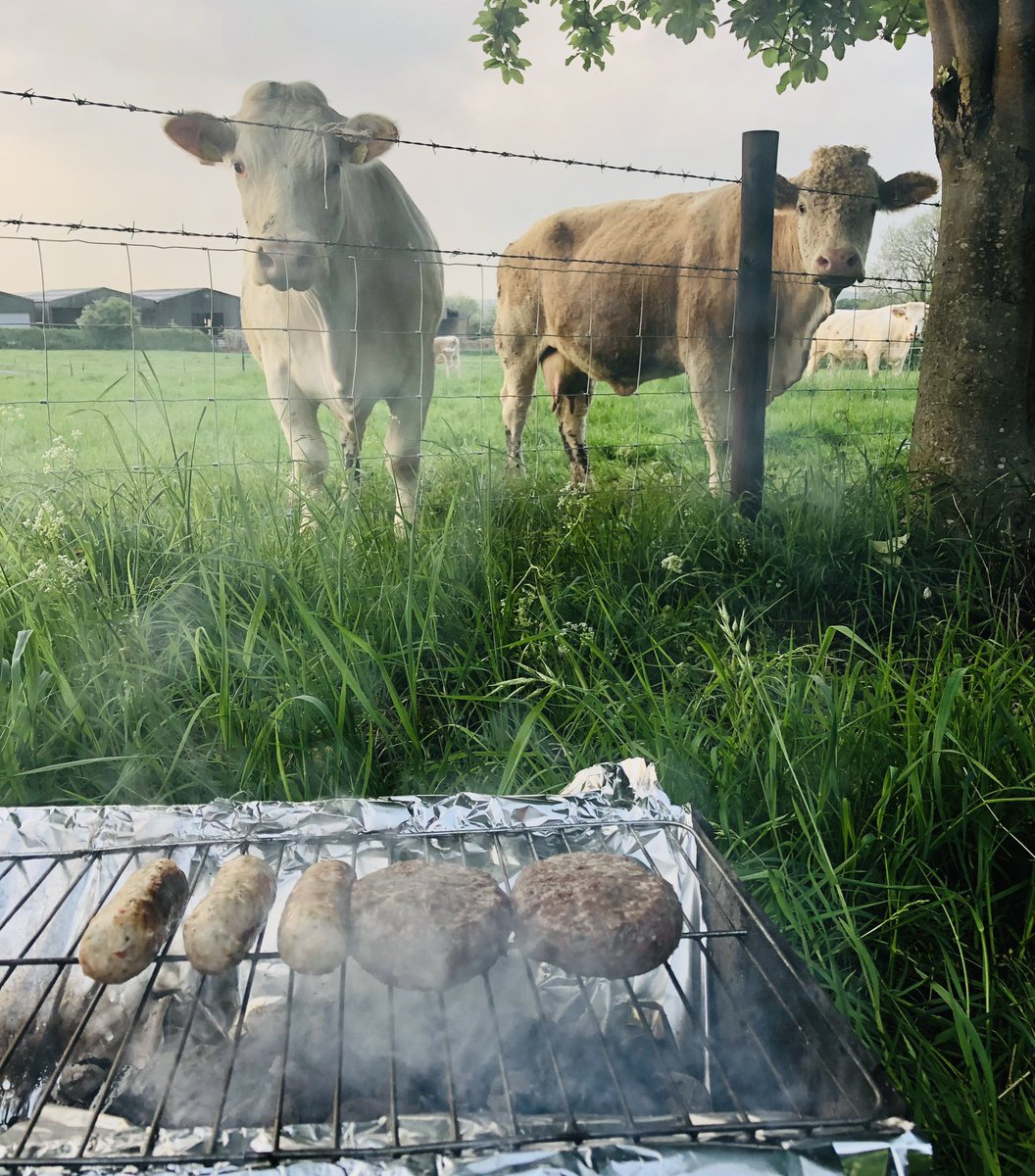 You need to be a committed carnivore to have a barbecue on this site…that could be my grandad! 😳
#Motorhome #Campervan #Vanlife #RV #Motorhoming