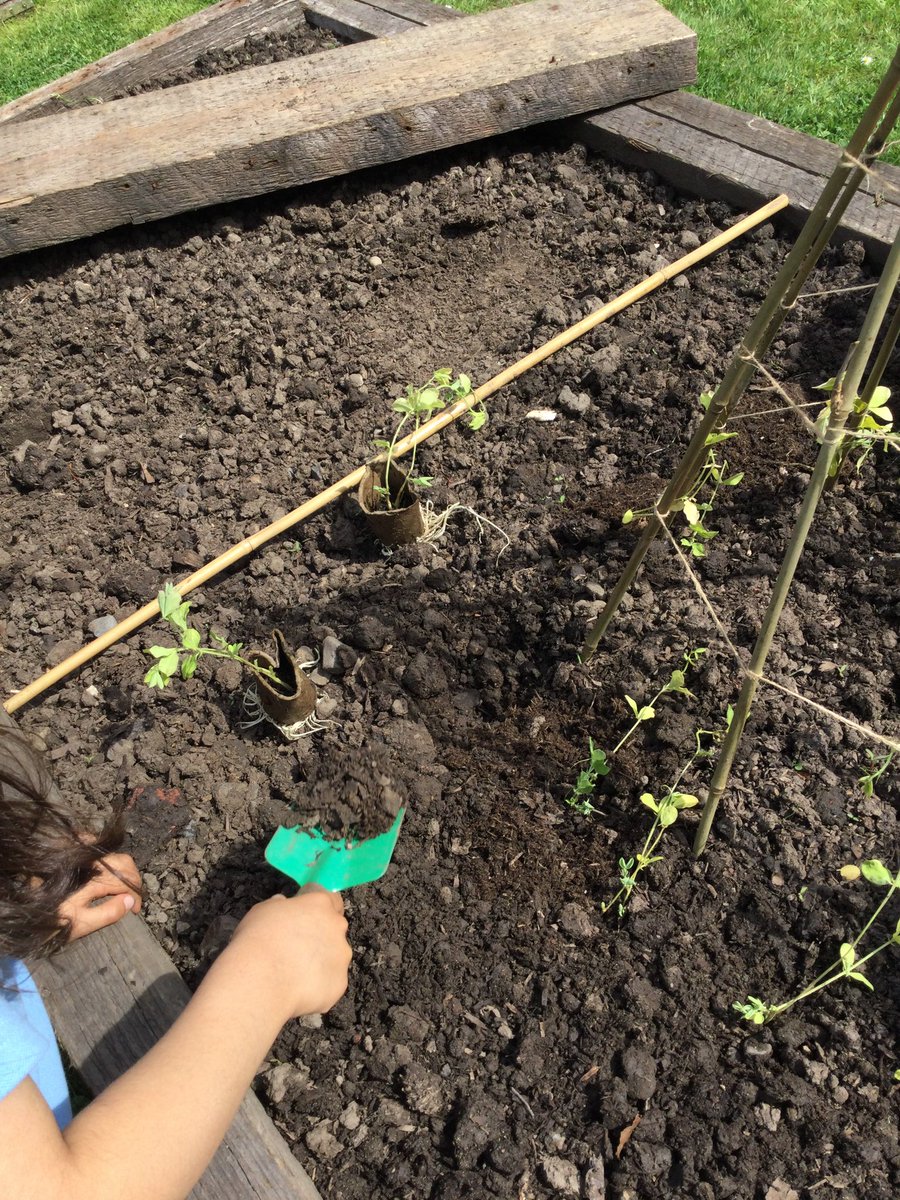 Alty CE EYFS tweet media