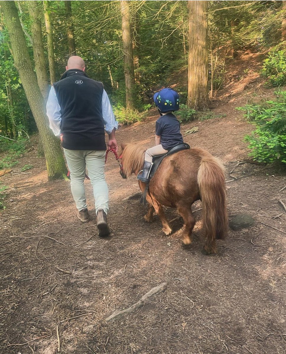 Relaxing evening walk. 🥰