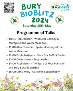 SOSSwifts have a stand at the Bury St Edmunds BioBlitz tomorrow, we are looking forward to providing a talk at 12:00. Do pop in and say hello, very happy to chat! @suffolkwildlife @SuffolkBirdGrp @ranzetta @BSESwiftGroup