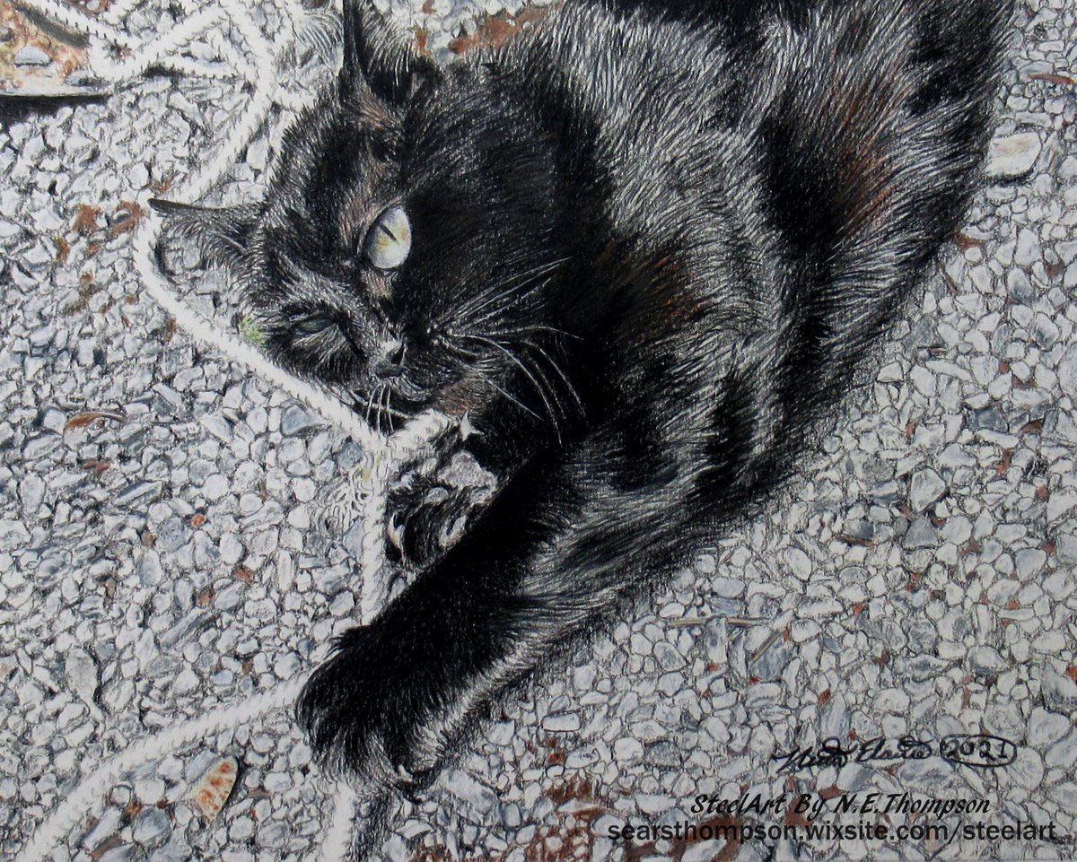 Throwback to this day in 2021, I had just completed this piece for my Black Cat art series. 
'Go Play Outside.' 
If your cats ever get rambunctious from being cooped up inside, perhaps you can relate to this title.

 #cats #art #drawing #pets #coloredpencil #artwork #blackcat