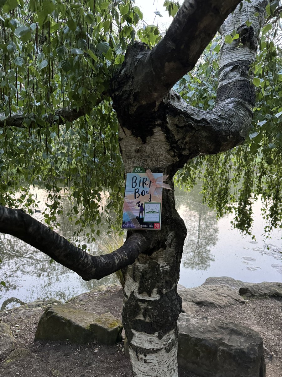 The @the_bookfairies have been leaving copies of 'Bird Boy' in all sorts of secret places! Who will find this one!!! #bookishmagic #fairystories @NosyCrow @hannah_prutton