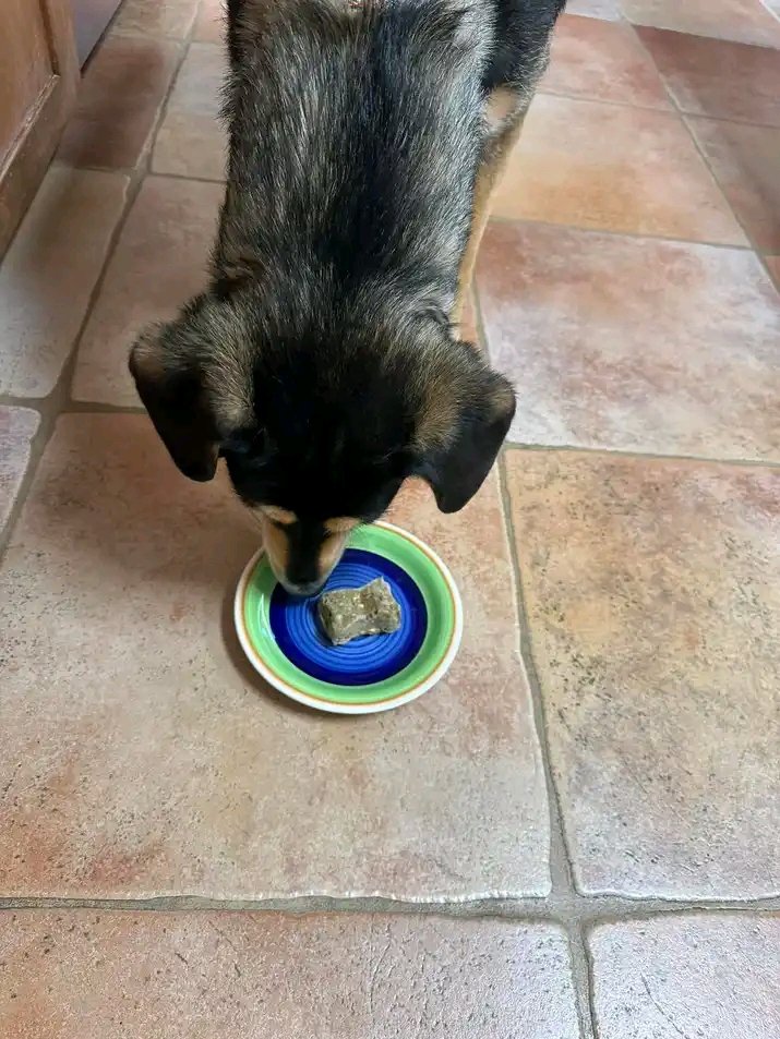 Wow. It's your birthday and best moment