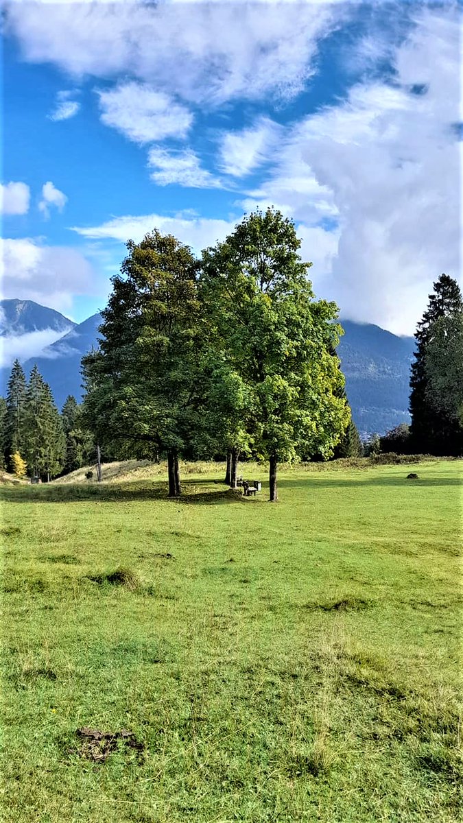 Night thoughts There is a 'machine' here that extracts CO2 from the atmosphere, produces oxygen, builds itself, is cheap and additionally delights us with its splendor and beauty.💚🌿☘️🌱🌲🌳🍀💚 👇👇It is called tree 👇👇