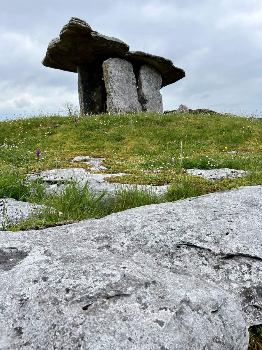 I could have spent the day peeking through the cracks between the #rocks in the #Burren #dolmen #Poulnabrone