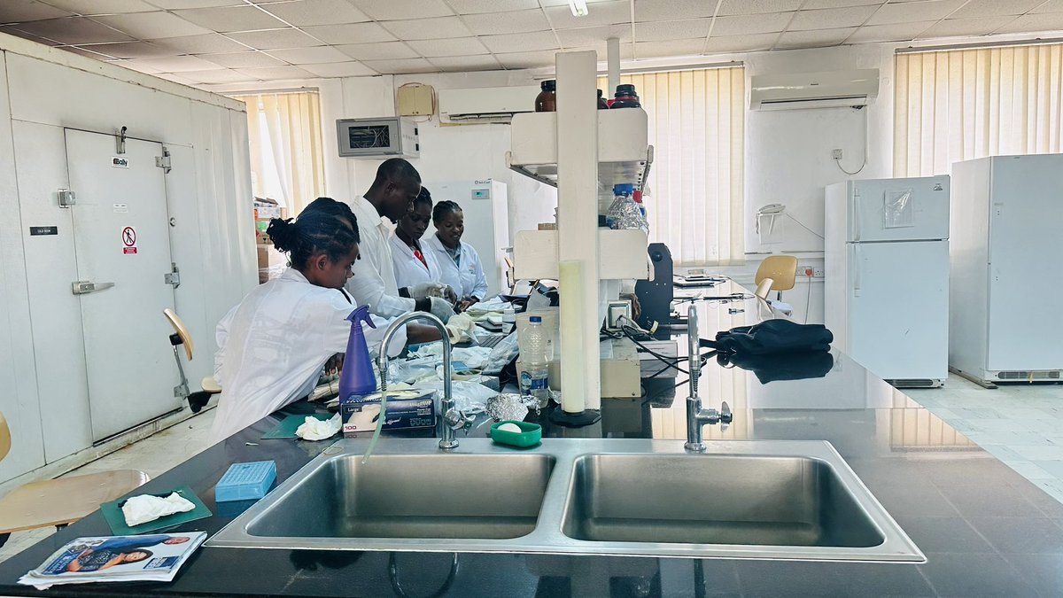 Had an incredible experience visiting the IITA Bioscience Center this week! Seeing young students being trained in Molecular Biology Techniques and Bioinformatics was truly inspiring. Kudos to IITA for nurturing the next generation of scientists! #IITABioscience #ResearchTraining
