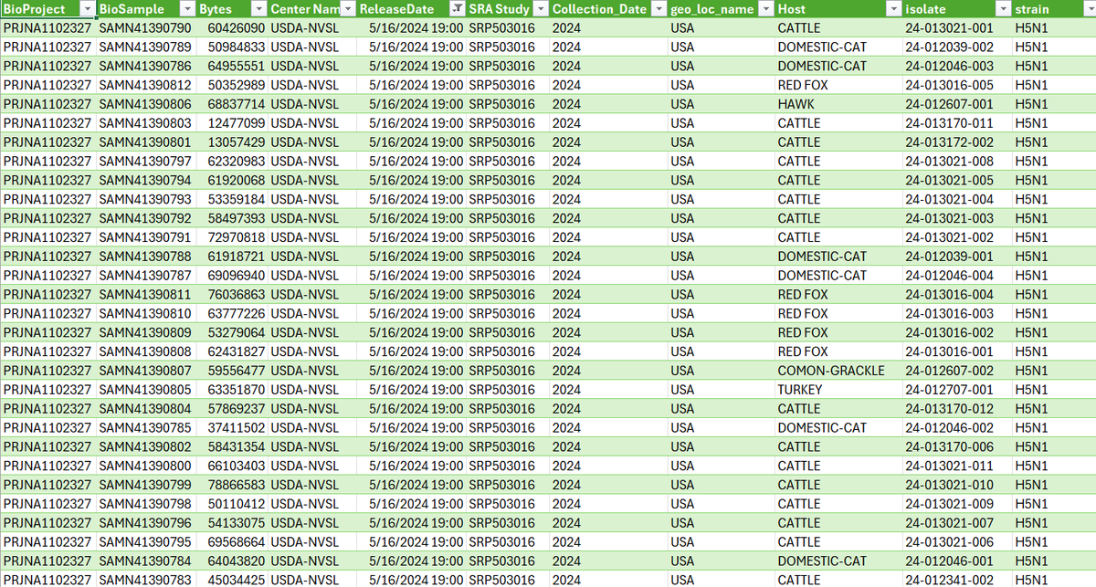 RajlabN's tweet image. #H5N1 Updates | #HPAI

30 more whole genome sequences of H5N1 are available in NCBI with release date 5/16/2024  submitted by @USDA #NVSL 

16 #Cattle
6 #Cat
5 #RedFox
1 #Hawk
1 #Turkey
1 #CommonGrackle   

Geo location: #USA (no state info)
Collection date: 2024 (no day/month)