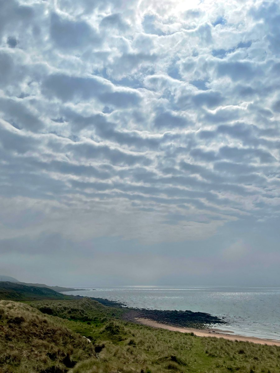 The haar & intermittent mackerel skies were magical today, as they ebbed & flowed over and around us here on the coast. The sea was even more beguiling than usual from the top of the dunes and I eventually spied @RedRiverCroft in the distance, sitting quietly, contemplating.