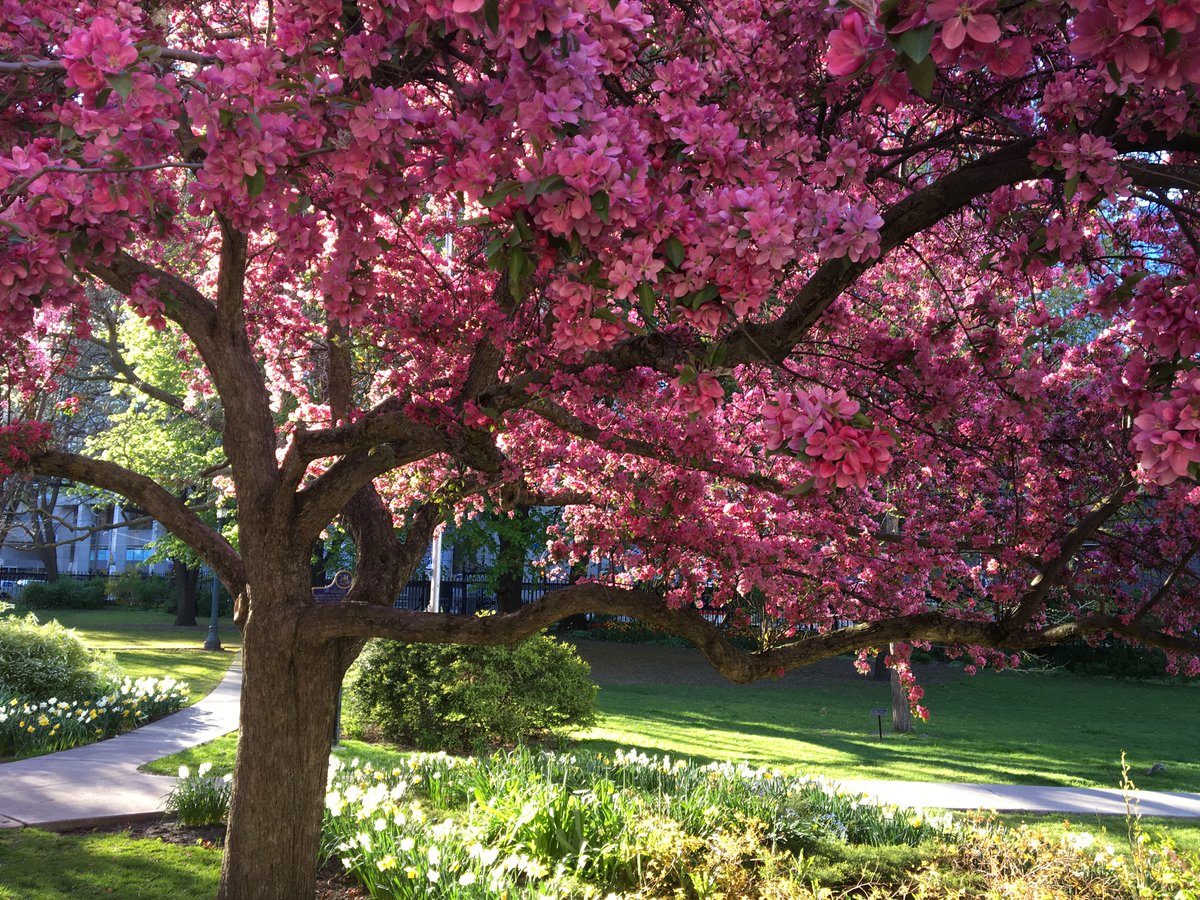 The Great Library will be closed on Monday, May 20th for Victoria Day. We hope everyone enjoys the long weekend!