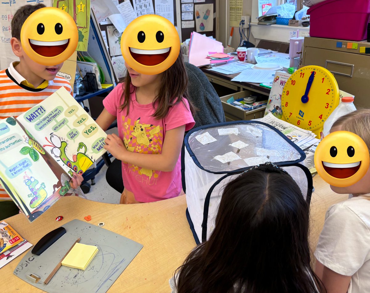 We have transferred our friends into their butterfly nets! We can’t wait for them to emerge from their chrysalises. Loved that students grabbed our book and began a read aloud to each other! @orioleparkjps @tdsb 🐛 🦋