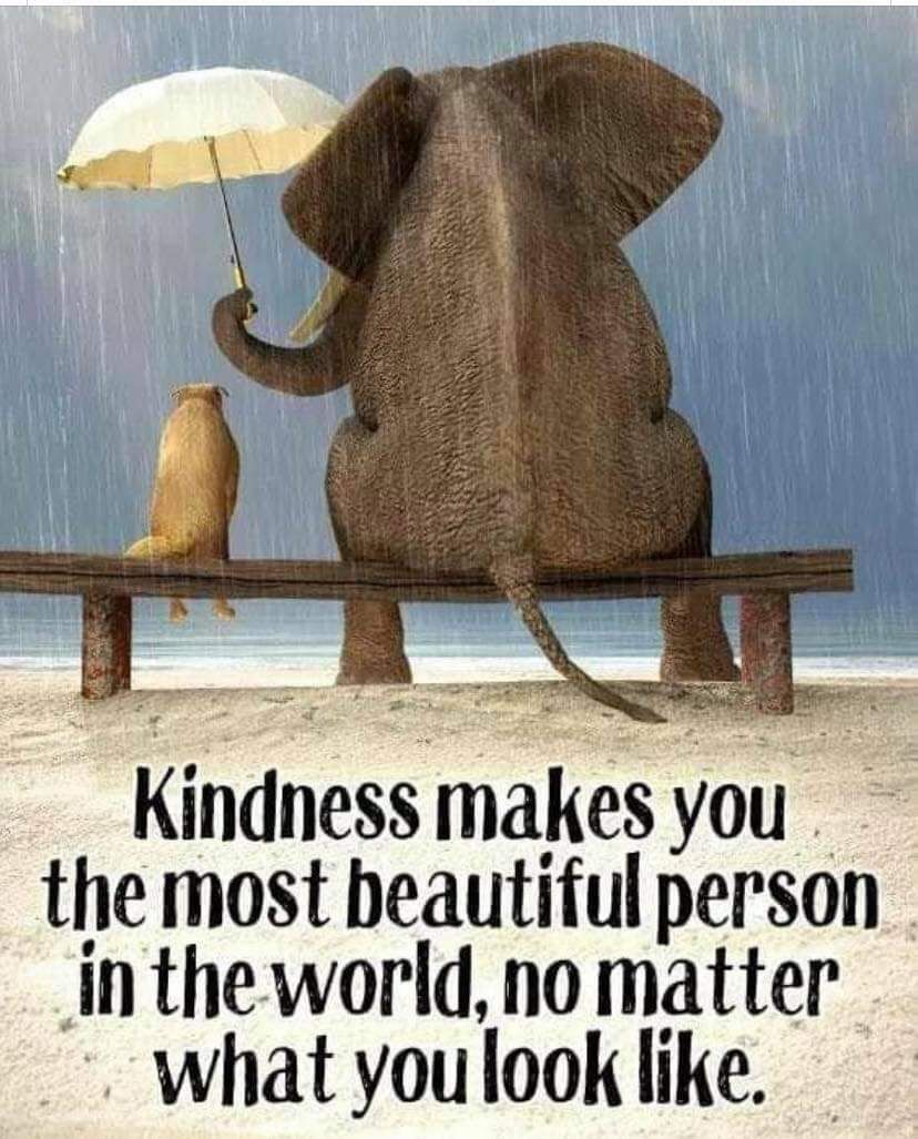 Kindness counts! 🧡