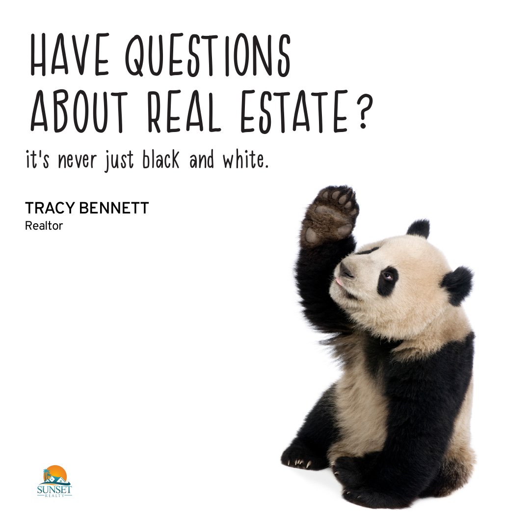 I am here to answer all of your questions about the real estate market. I promise, there are no dumb questions. So go ahead and ask me anything! #realestate #realestatequestions #realestateagent #realestateexpert #realestategoals #realestatemarket