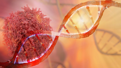 #NationalCancerResearchMonth #Researchers from @RutgersCancer & @RWJBarnabas investigated genomic alterations based on KRAS status to identify mutations in patients with KRAS wild type (WT). cinj.org/exploring-gene… @matthewdeek #CancerResearch