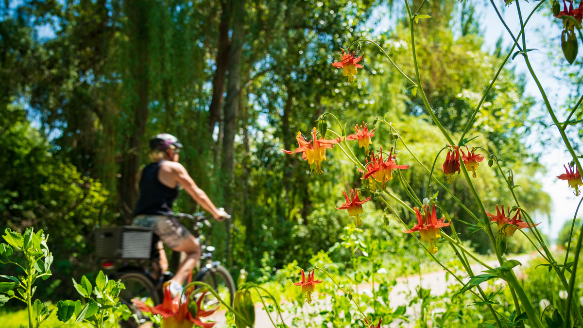 Here’s to a healthy, happy and safe Victoria Day long weekend! 🌞🌻 A reminder: City Hall is closed Monday, May 20 & will reopen at 8am on Tuesday.