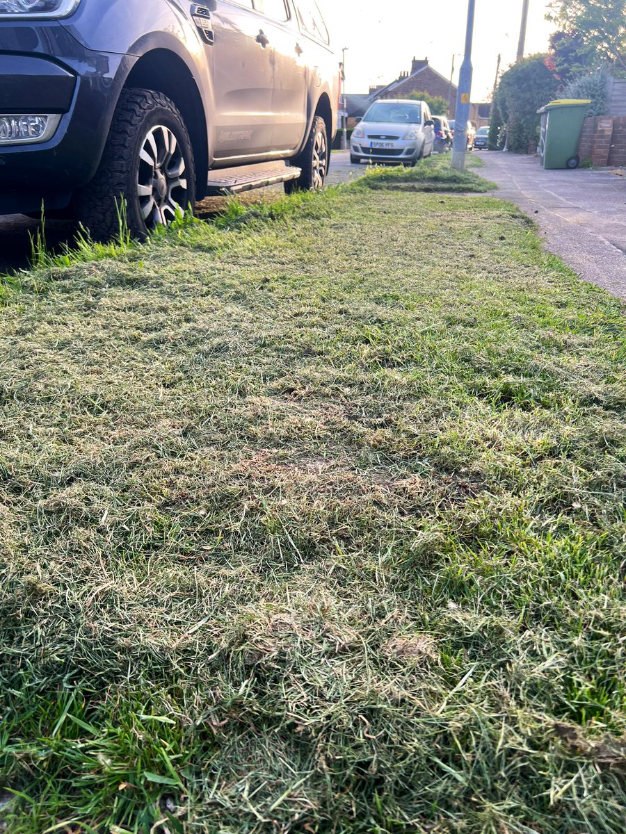 Last year, when new fibre cables were trenched through the verge outside my house, I took the opportunity to sow some red clover &amp; other wildflower seeds in the aftermath. This year, they started flowering for the first time… until <a href="/RochfordDC/">Rochford DC</a> mowed them down today. I asked the