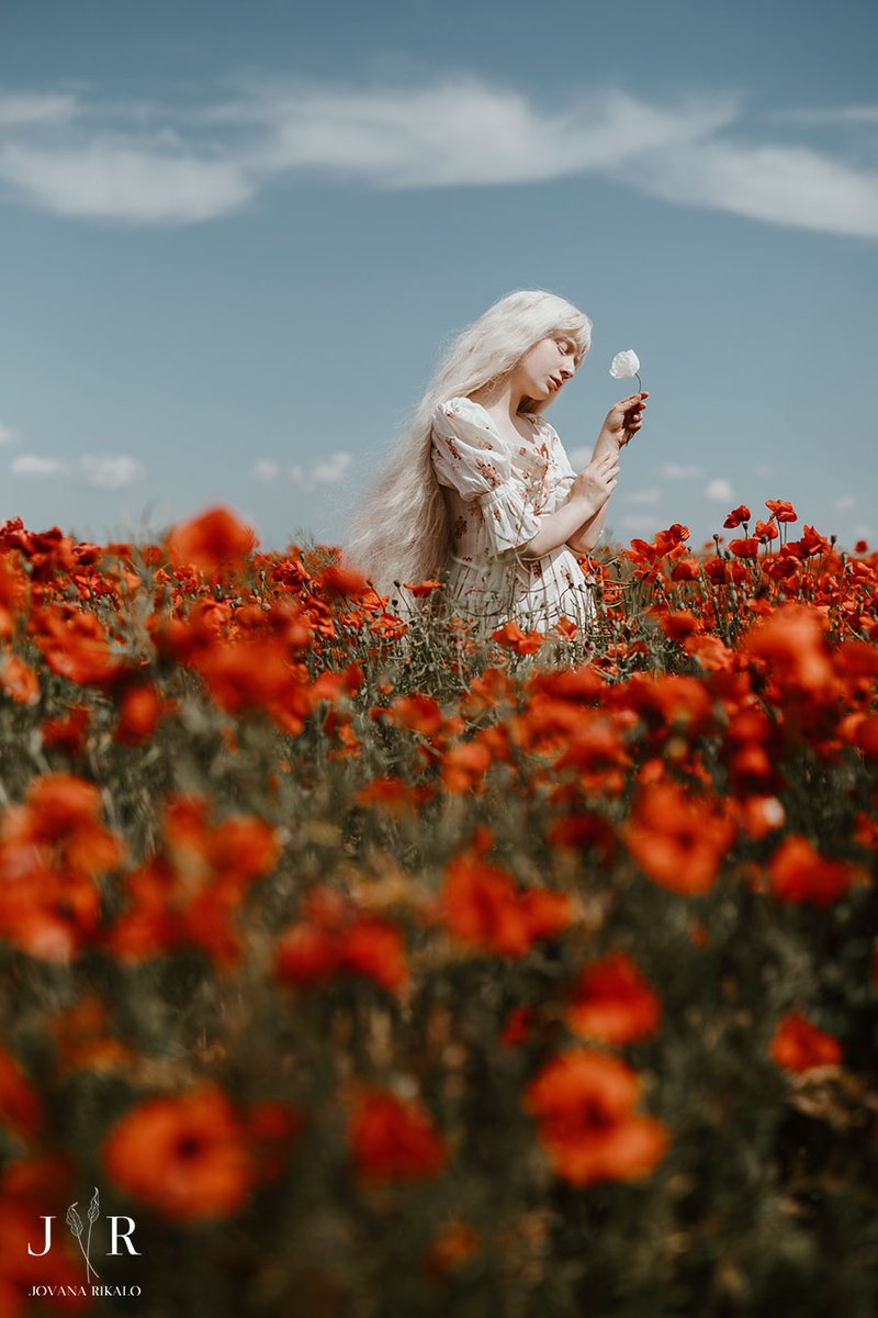 Sometimes you have huge field and even in that moment, there is one flower which stands out.

This only show how you can bloom in your way even if there are thousands around you. I was so happy to find this white poppy 🤍

#ShotOnCanon

Photographer @jovanarikalo