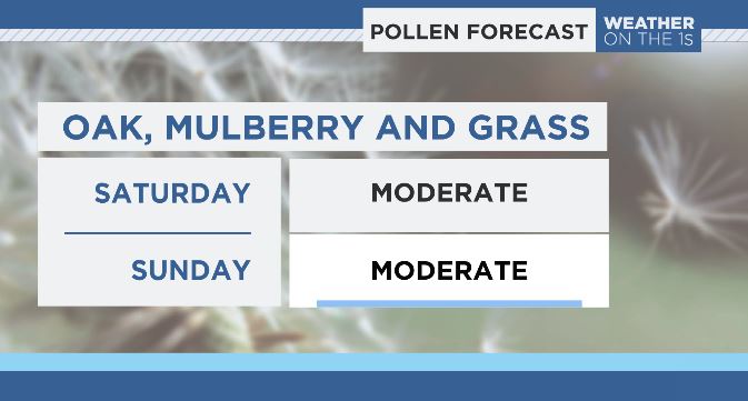 NYC, this is IT ! Pollen season has peaked. Grass showing up for the 1st time this season. Allergy symptoms will rapidly improve over the next week. We made it !