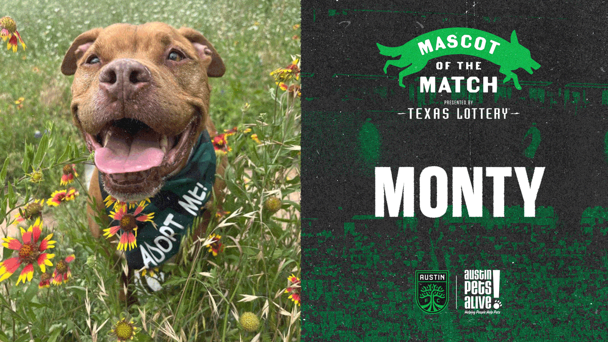 Meet Monty! @TexasLottery is proud to present tomorrow's #AustinFC Honorary Mascot of the Match, Monty, available through our friends at @AustinPetsAlive! Click here to meet Monty! ➡️ bit.ly/APAMonty