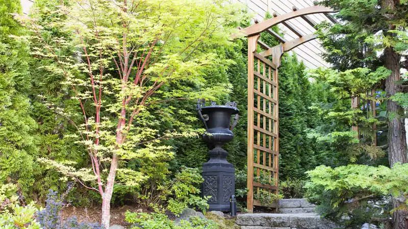 Looking for beautiful arbor designs? 👀

Here are 17 designs that are sure to catch your eye, give you plenty of ideas, and transform your garden completely. 😉

#Landscaping #LandscapingDesigns #ArborDesign #Outdoor

 LocalInfoForYou.com/387360/arbor-d…