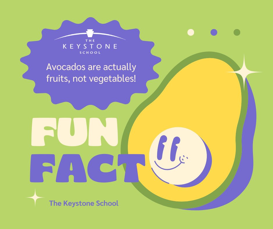 Hey Keystone, it's #funfactfriday!  Did you know that avocados are actually fruit?! #thekeystoneschool #funfactfriday #onlinelearning #livewhilelearning #onlineschool #homeschool #homeschooling #learnfromhome #digitaleducation #avacado #fruit