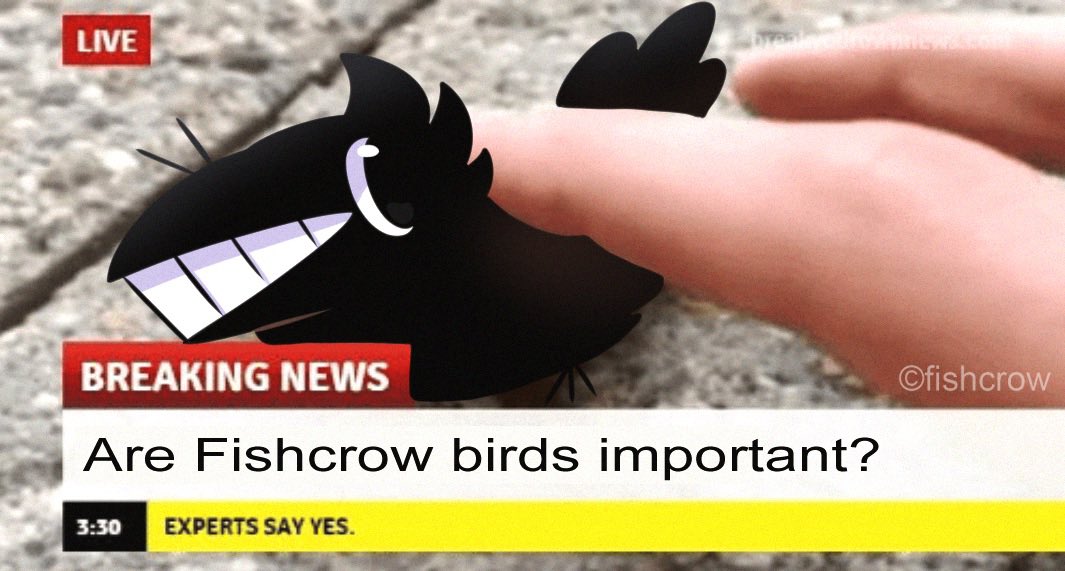 🚨Breaking News 🚨 Are fishcrow birds important? 🔬Experts say yes!