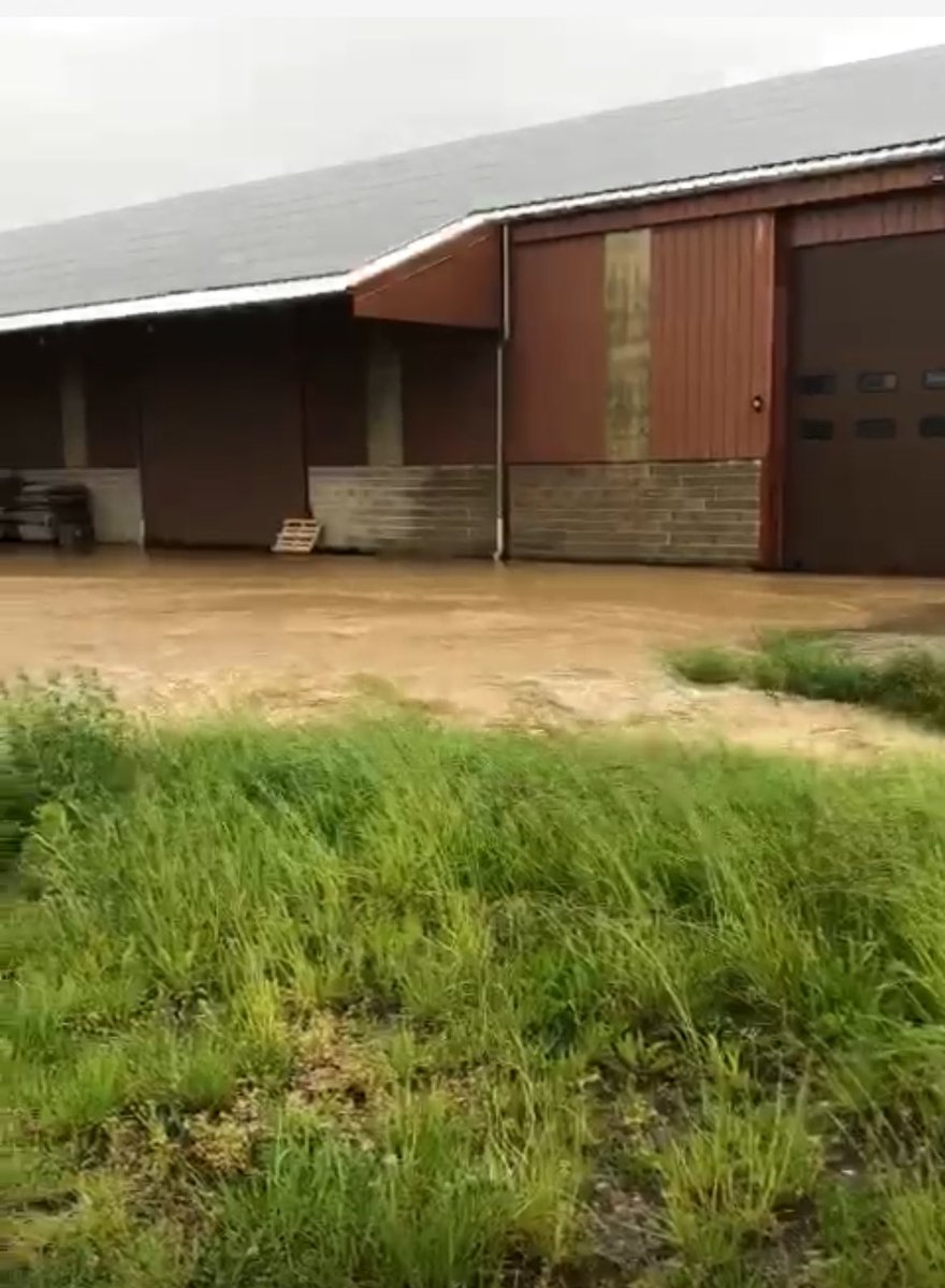 Je voudrais dire toute ma solidarité aux Alsaciens et Mosellans, victimes des pluies et des inondations des 24 dernières heures Merci à tous ceux qui s’activent pour leur venir en aide : pompiers, gendarmes, élus et bénévoles @sdis67 @SDIS57 #Inondations