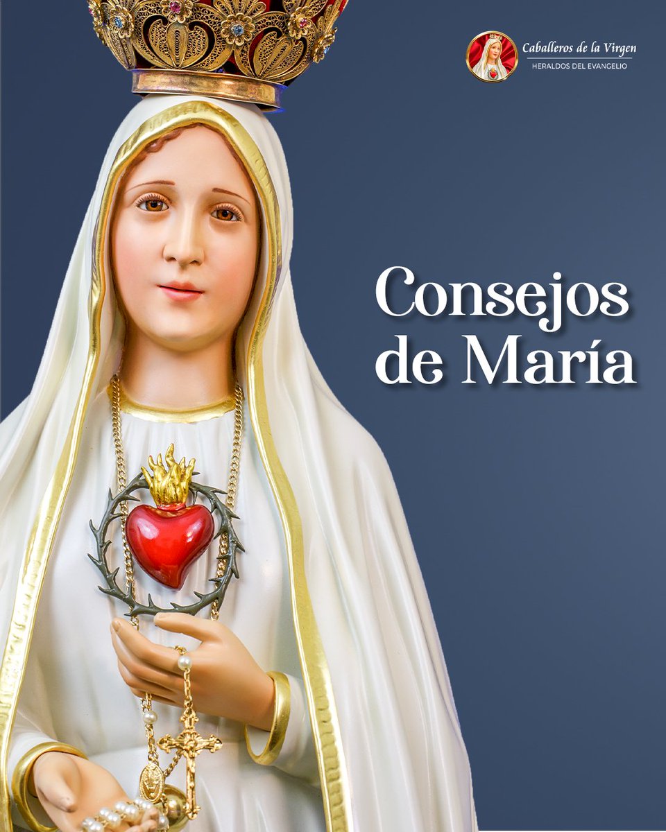 Consejos de María:

Recordemos que el Rosario es una de las arma que nos dejo nuestra Santa Madre para derrotar el mal y alcanzar la paz y la vida eterna.

#caballerosdelavirgenecuador #caballerosdelavirgen #heraldosdelevangelioecuador #virgendefatima