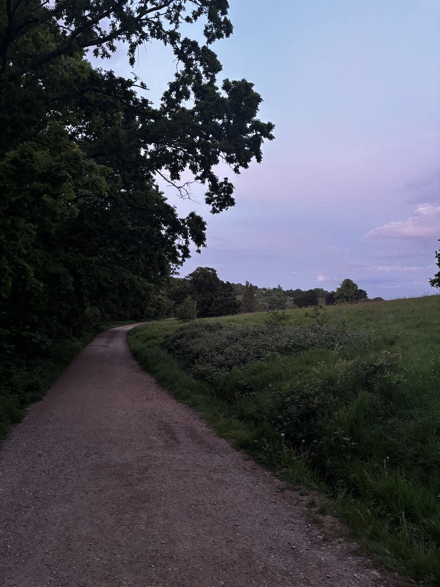 Wieczorny, romantyczny acz samotny spacer po Hampstead Heath oraz odwiedziny Hektorka - “Wojownika z czterema łapkami “ zmarłego niedawno