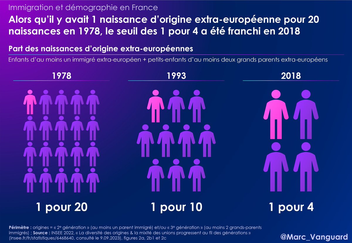 La transformation démographique en Nouvelle-Calédonie fait écho à une autre évolution, bien observable en France métropolitaine :