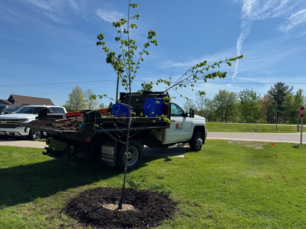 Adding more green with help from the Evergreens.

WPS helped the city of Schofield and @DCESeniorHigh celebrate Arbor Day by donating trees for students to plant. 

We're proud to have earned @arborday's Tree Line USA award for the 30th year for our work to enhance urban forests.