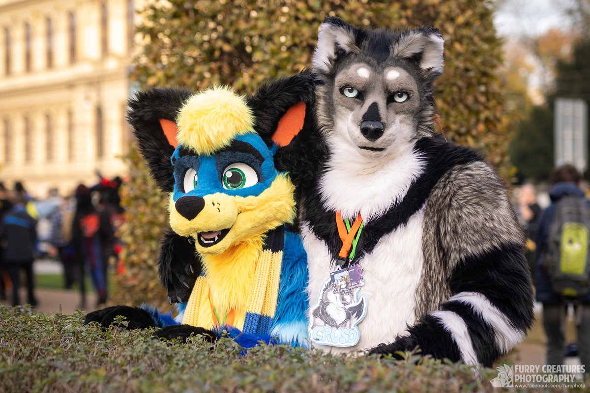 Happy #fursuitfriday. Here's a photo with my friend Oggy 😊. 🦊 @OggyOsbourne 📸 @FurCPhoto