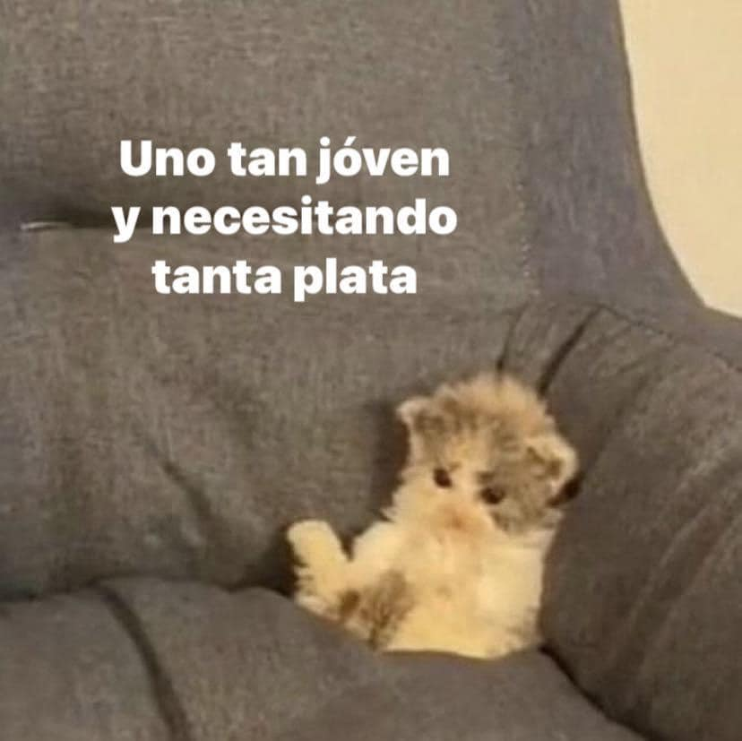 Bandidosfrasess's tweet photo. https://t.co/tah9PYLjVk