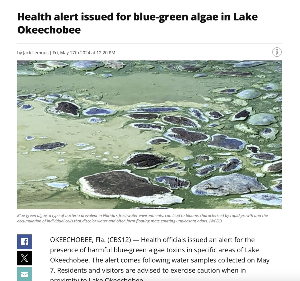 🚨HEALTH ALERT🚨Toxic blue-green algae is confirmed in Lake Okeechobee. This is a public health threat to our pets, children, and the broader community. I’ll keep fighting for zero discharges.