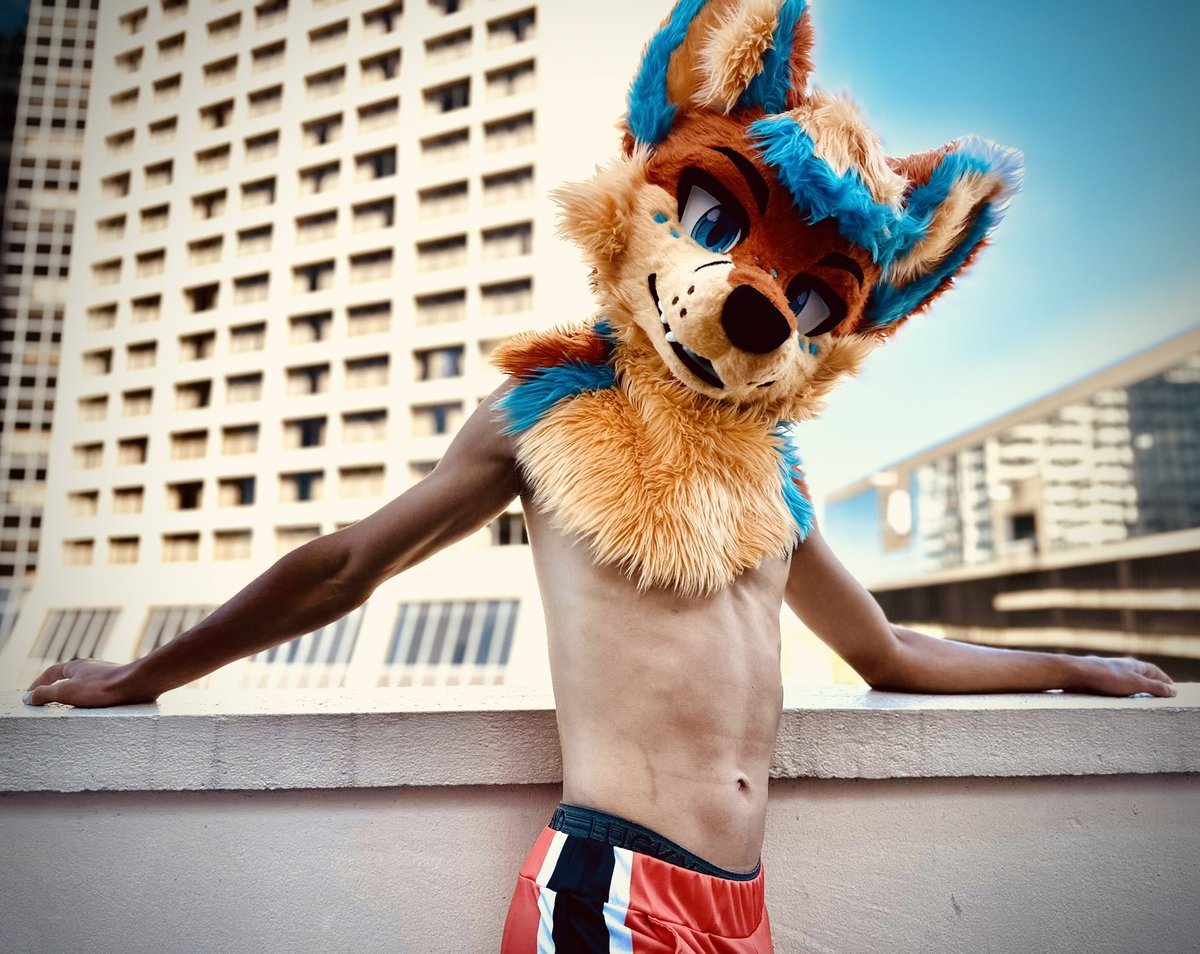 It’s #FursuitFriday Coming Atcha From #FWA2024 🤭

✍️: @VanHyena