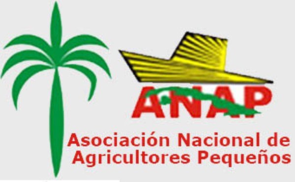 Instituido como Día del Campesino, en esta fecha se honra a los hombres y mujeres que laboran la tierra garantizando la soberanía alimentaria de la Patria. Felicidades a la ANAP también que los agrupa!!! #JuntosPorMayabeque