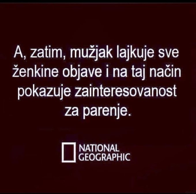 GNzsAngW4AAMCLc?format=jpg&name=small